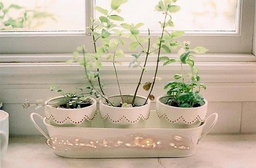 UhHgH UhHgH