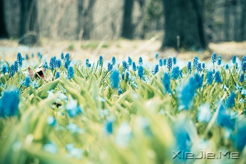 ��Ҫ�������ˣ���Ҫ����Լ� (6)