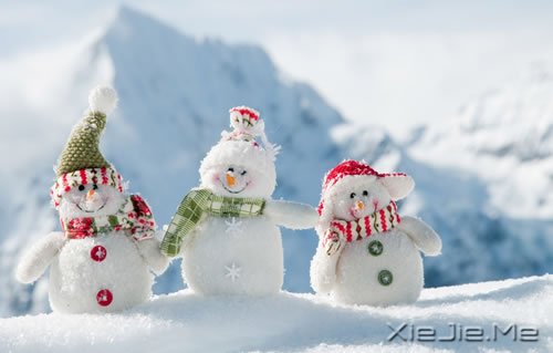 ��Ҫֹͣ׷��ĳЩ�������������� (13)