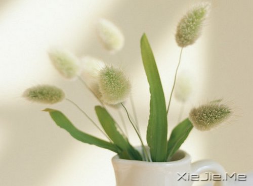 ��������ҵ�������· (2)