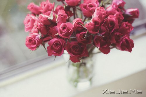 早安心语:淡然一切,往事如烟 (1)