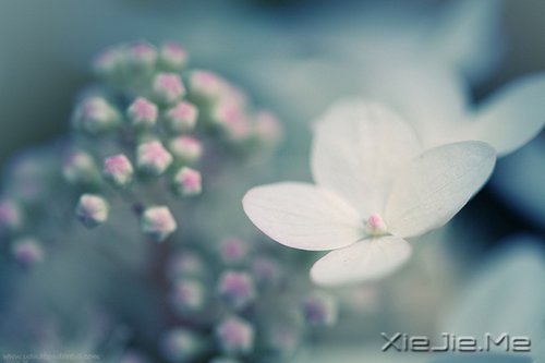 ���������Ļ��������ִܵ����ĵķ��� (3)