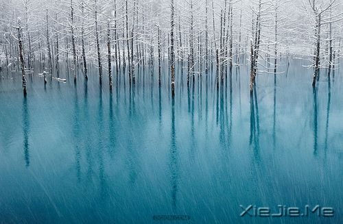 �簲����е�·��Ҫ��ȥ�� (9)
