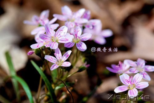 感人故事:一位母亲一生中撒的8个谎言