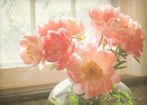 文字:牛逼程浩背后的母亲